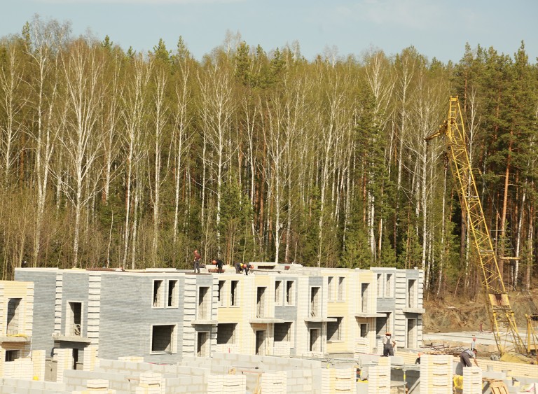 European Village development under construction with the tall woodland trees in the background