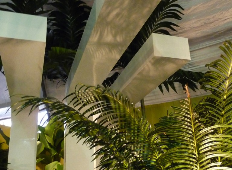 Looking up through tropical leaves to the pergola