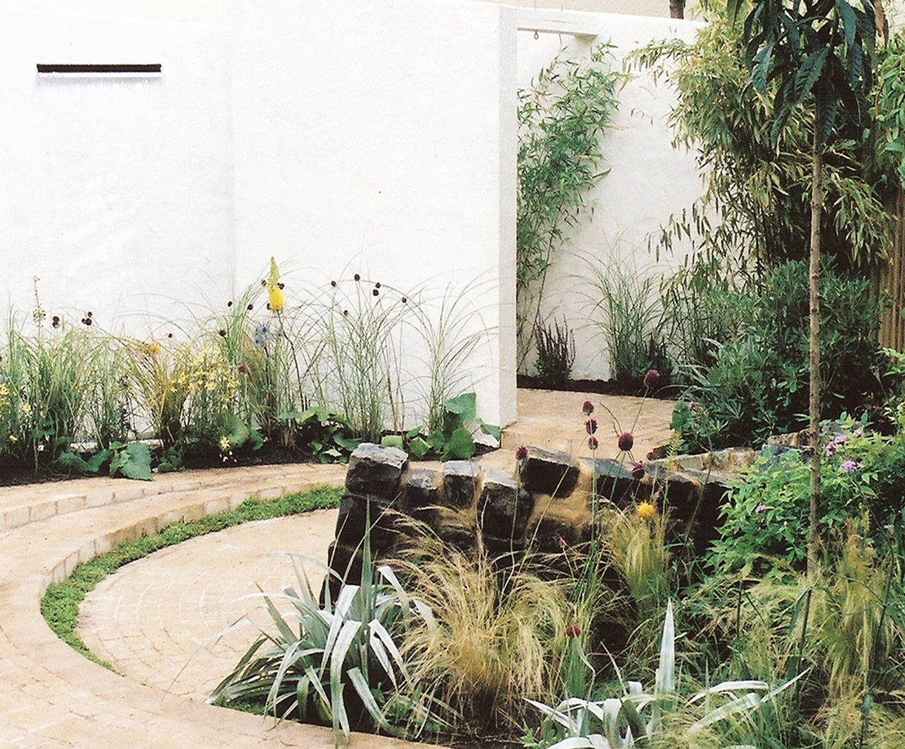 Family Town Garden stepped area with plants accentuated against the white walls