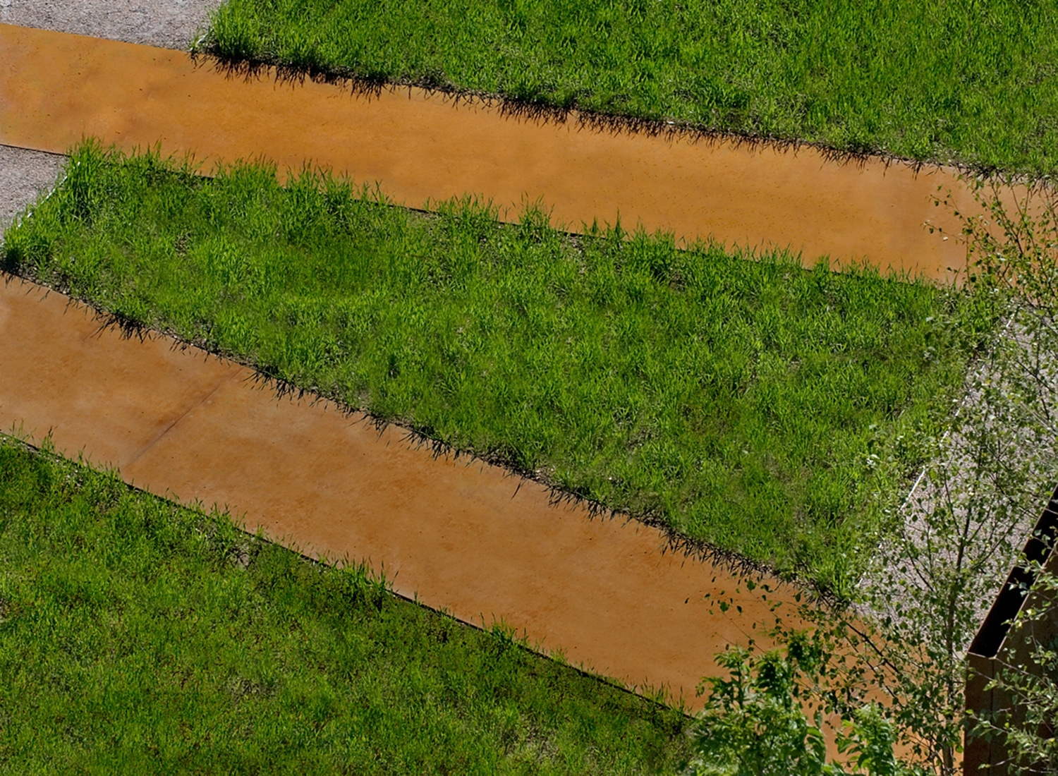 Aerial view of the wheat fields in the 'Urban Greening' garden