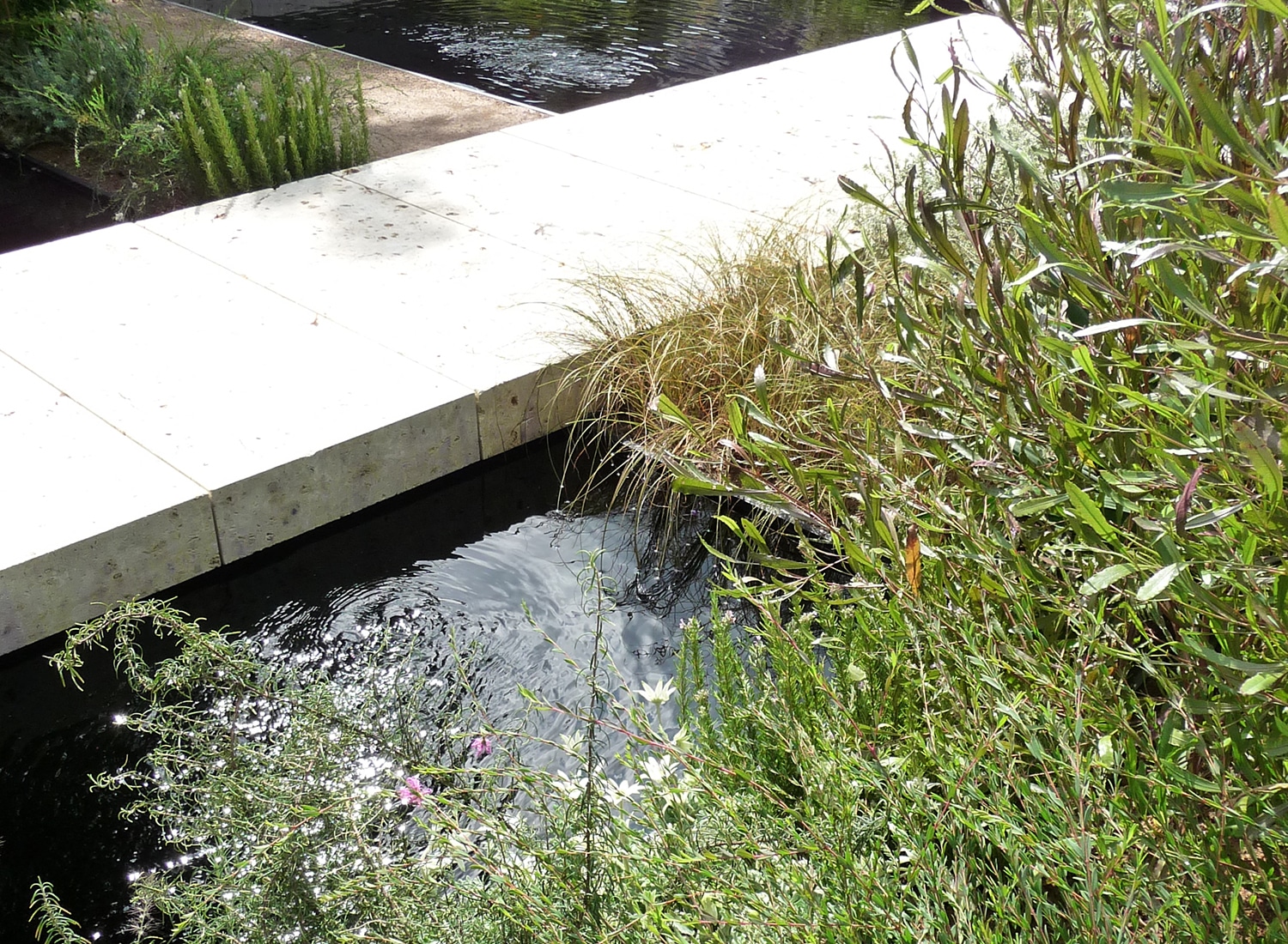 Water feature next to concrete path - Gardening World Cup 2010