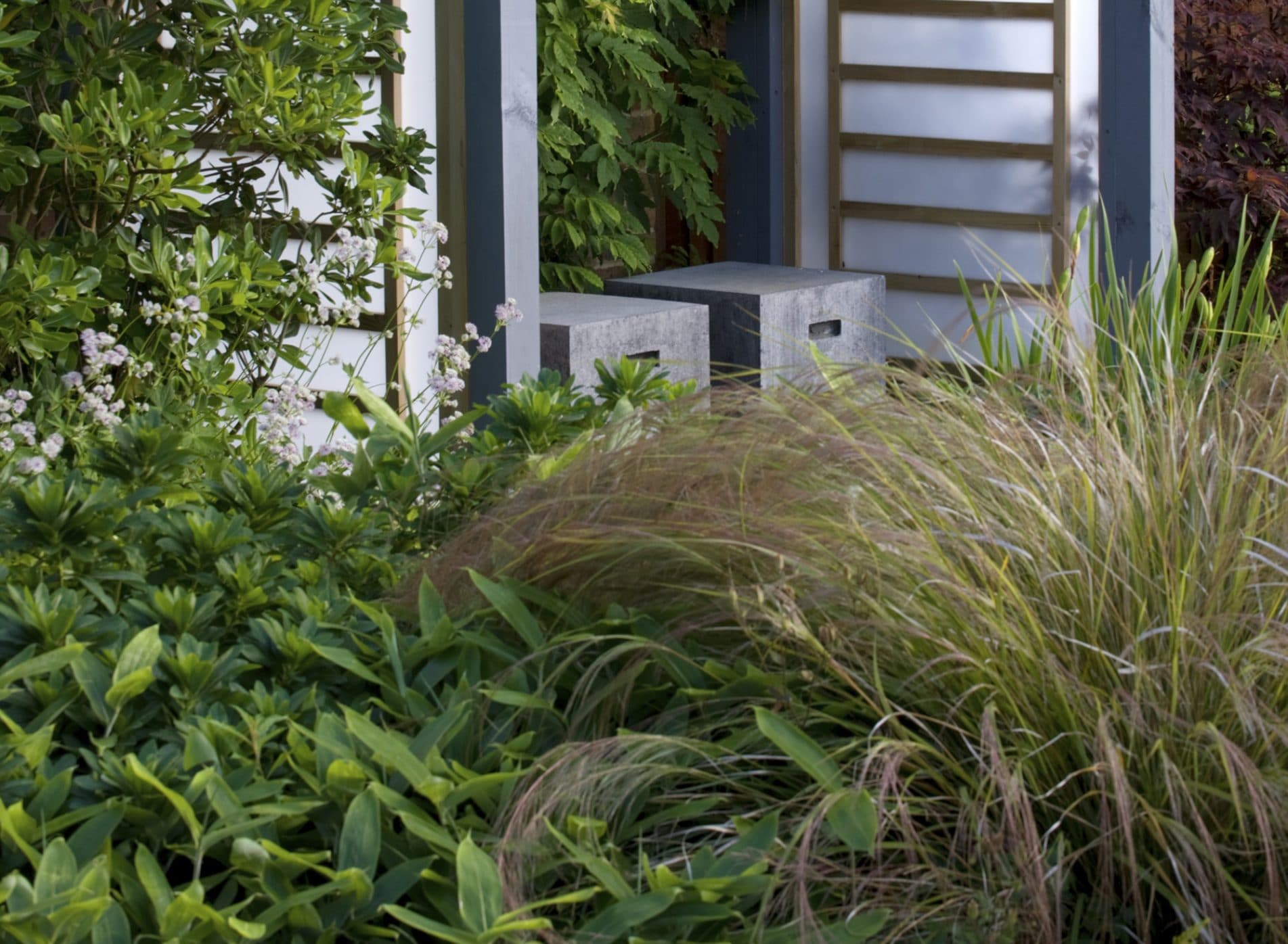 Looking towards a seating area across the grasses and plants - Modern Japanese Garden