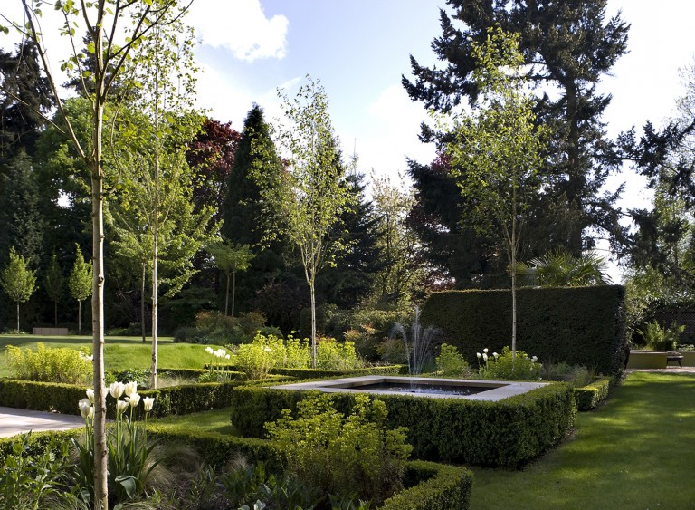 Modern Parterre with water feature, box hedging and young trees