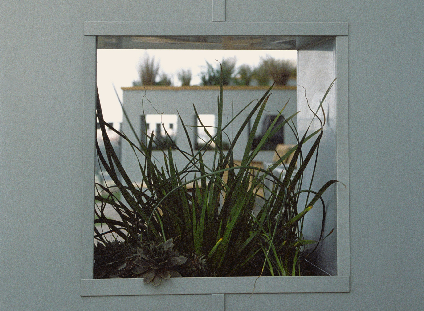 Aperture planter on the St Johns Wood Pavilion Terrace