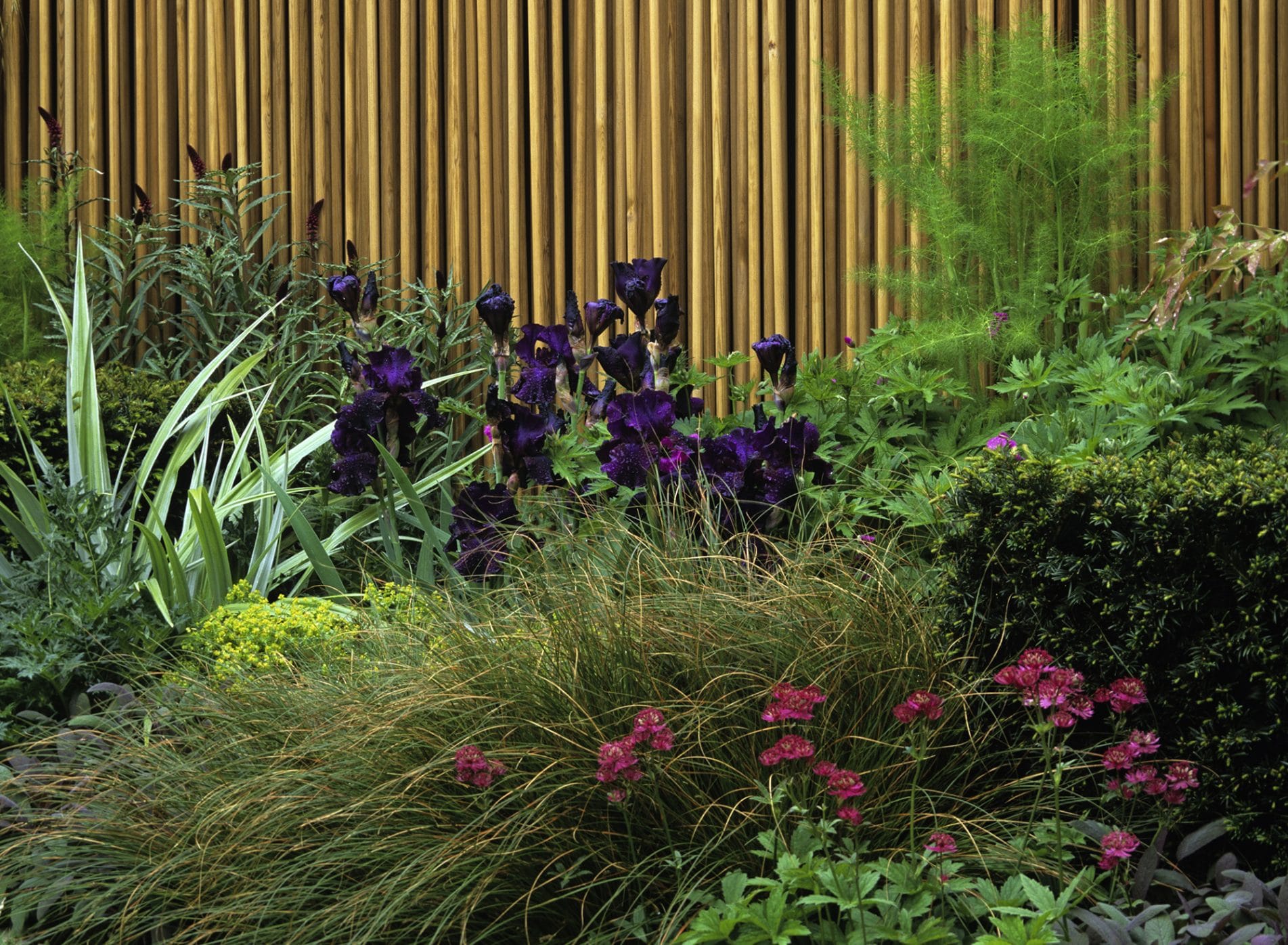 Prairie style planting and wooden dowling fence - RHS Chelsea Flower Show 2006