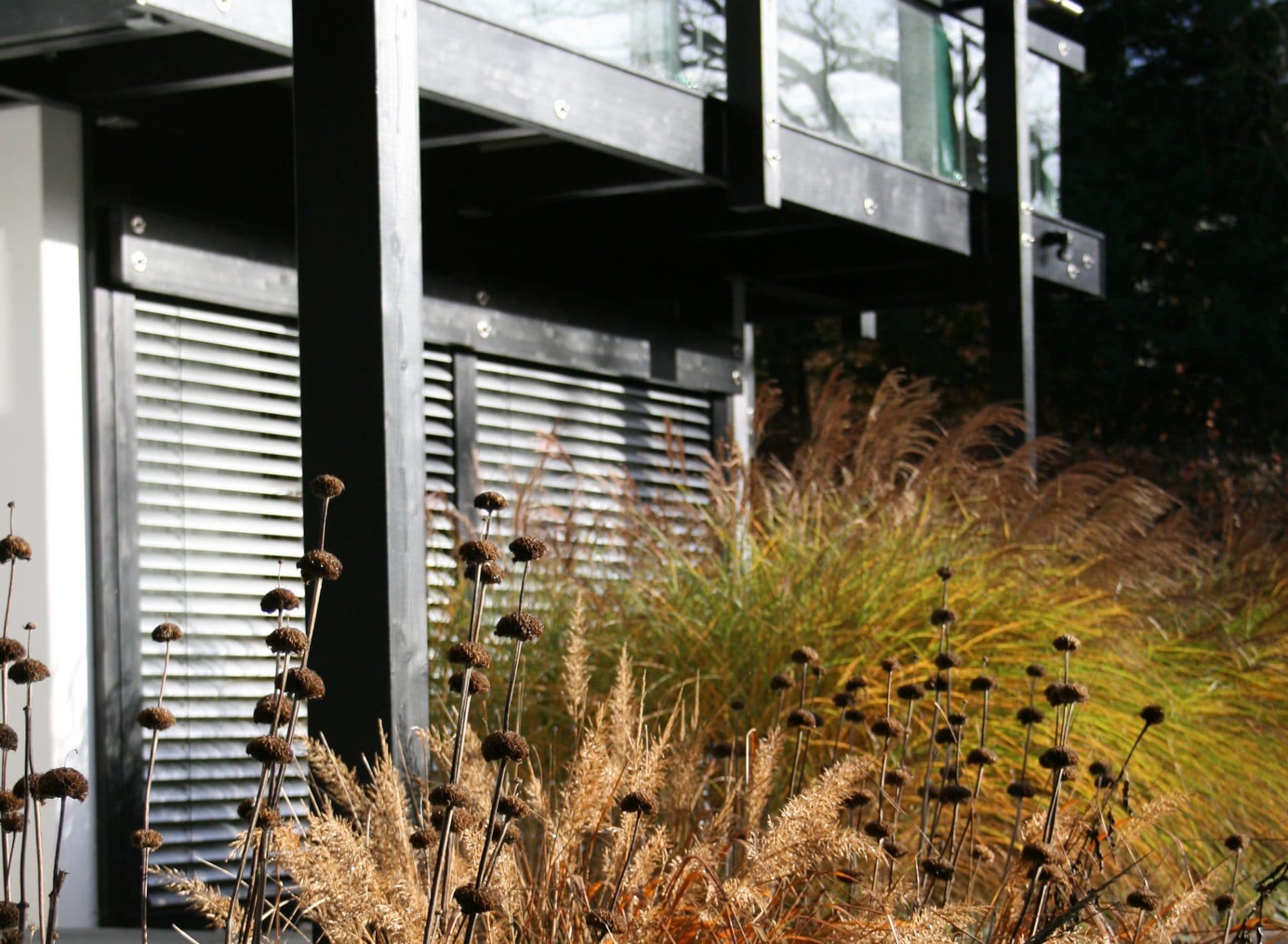 Looking across a border of grasses to the Huf House