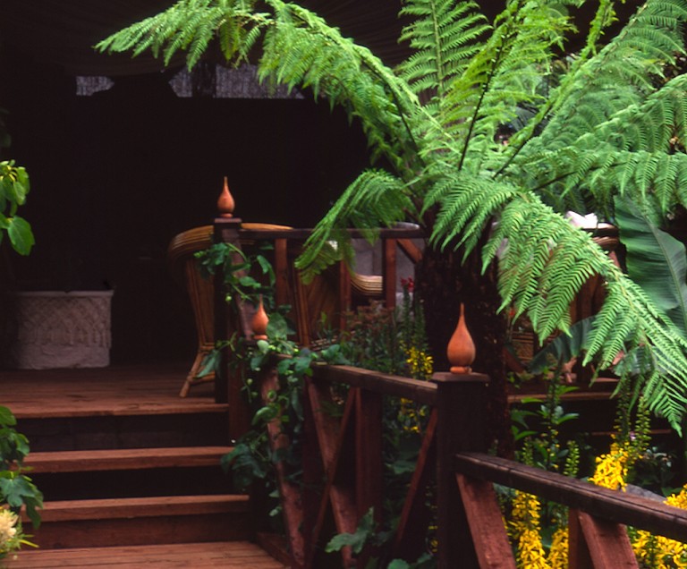 1998 RHS Hampton Court Flower Show Silver Gilt Medal winning garden with Australian ferns