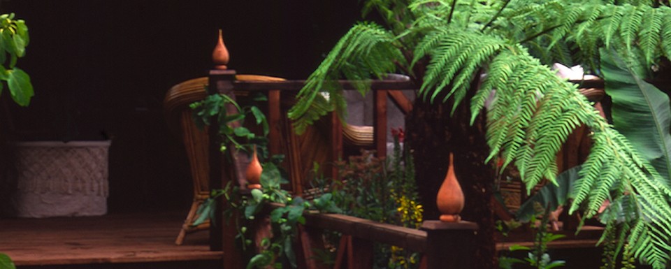 1998 RHS Hampton Court Flower Show Silver Gilt Medal winning garden with Australian ferns