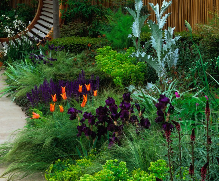 Beautiful Garden Bed Featuring A Variety Of Colours