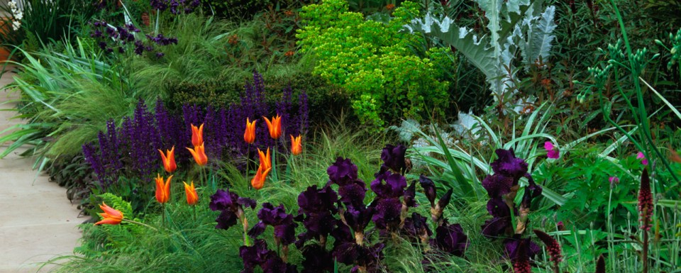 Beautiful Garden Bed Featuring A Variety Of Colours