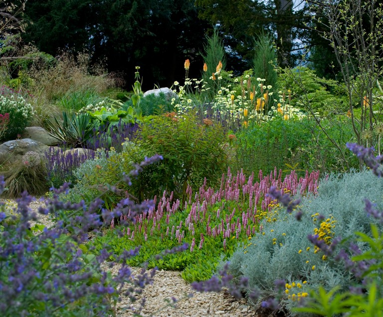 2014 Society of Garden Designers Awards Planting award winner - beautiful flowers in pink, purple, orange and yellow