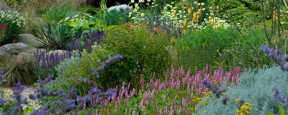 2014 Society of Garden Designers Awards Planting award winner - beautiful flowers in pink, purple, orange and yellow