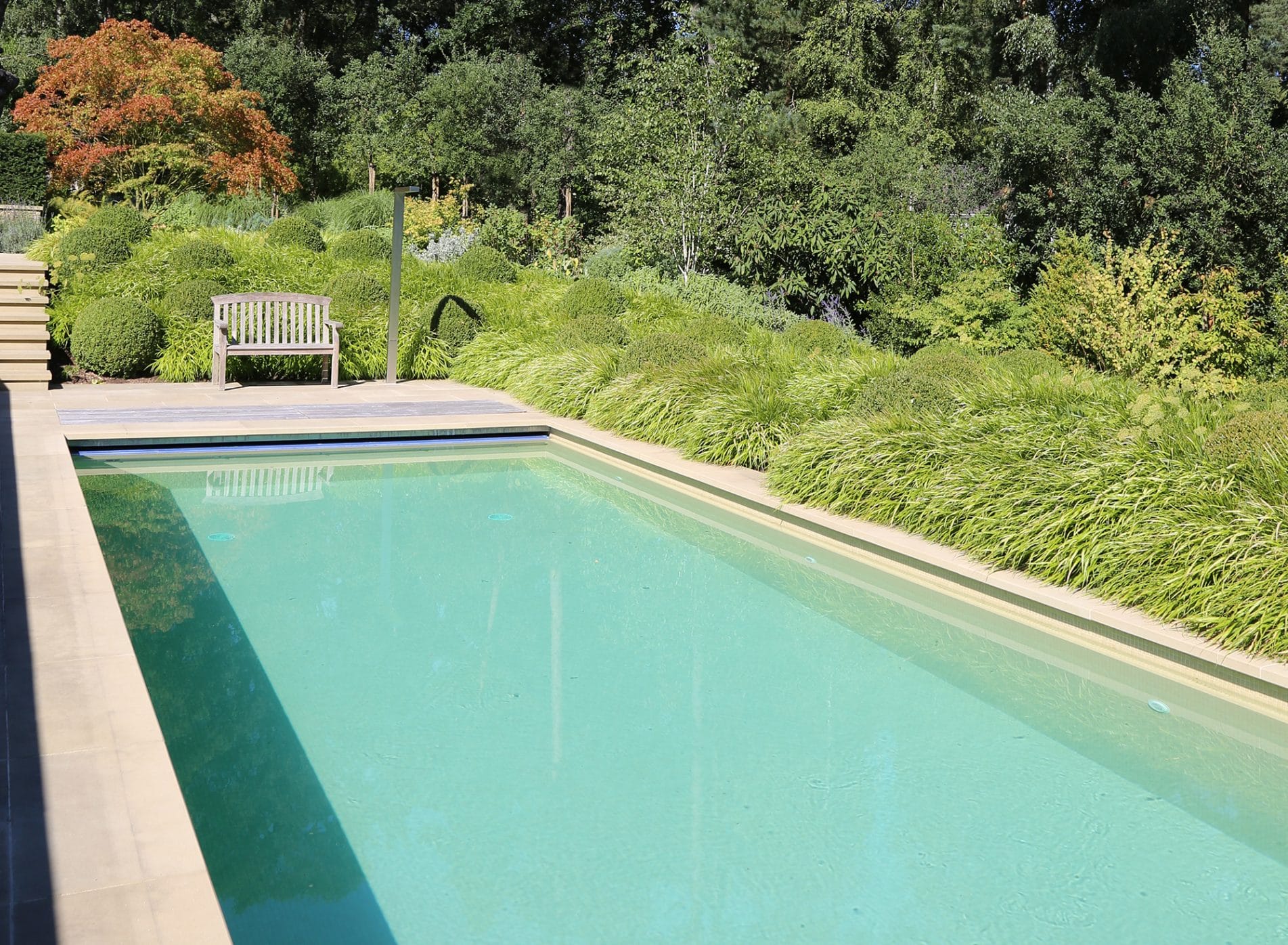 Swimming pool with grasses along one length