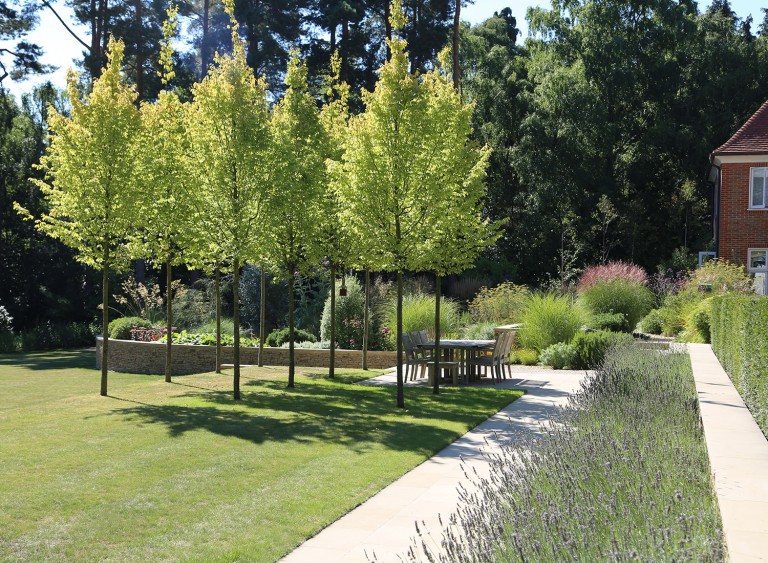 Lawn with trees providing shade to the dining table patio