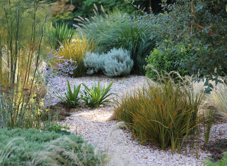 Gravel path through plants