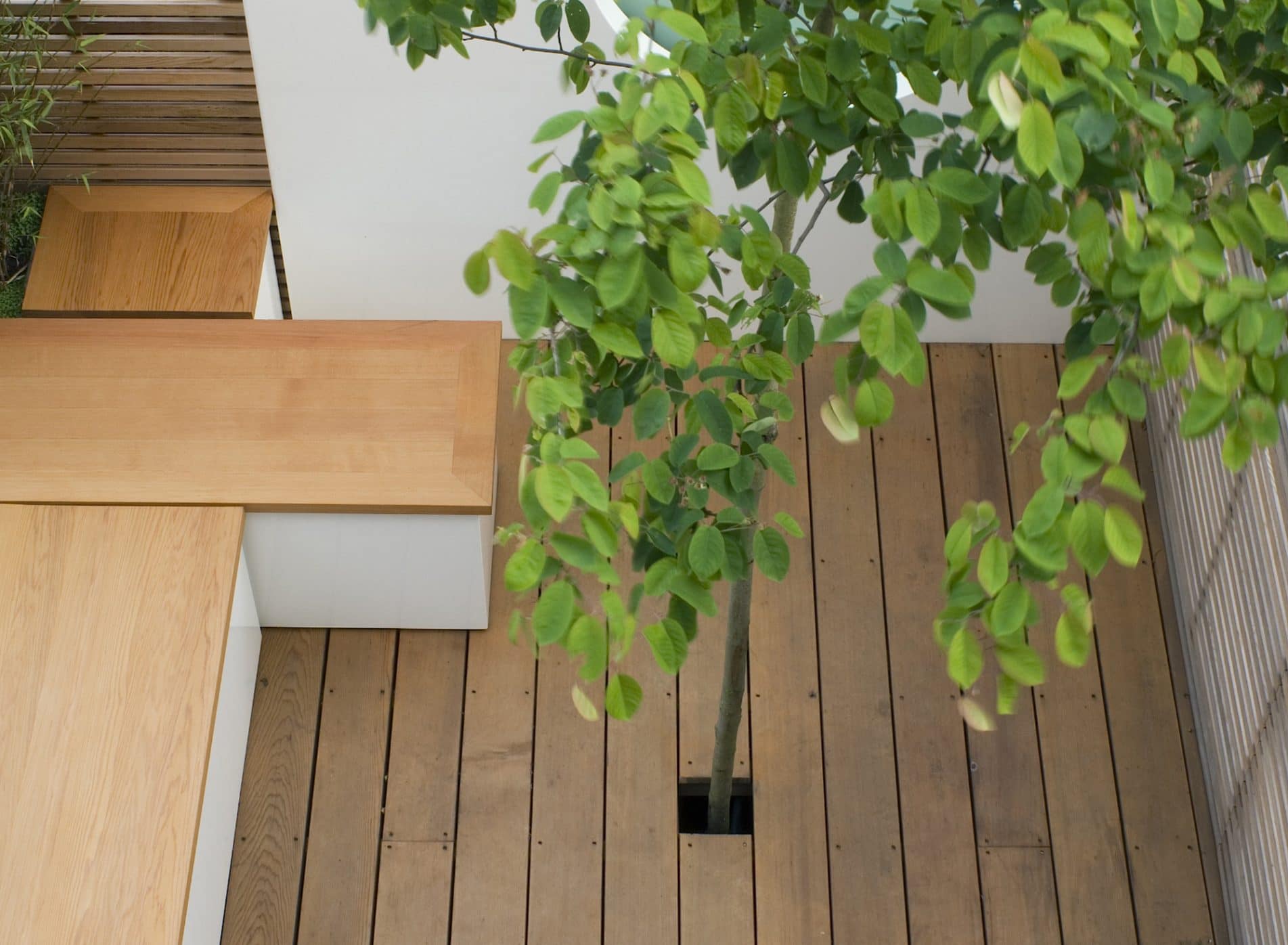 Bench seating by a tree set within the decking