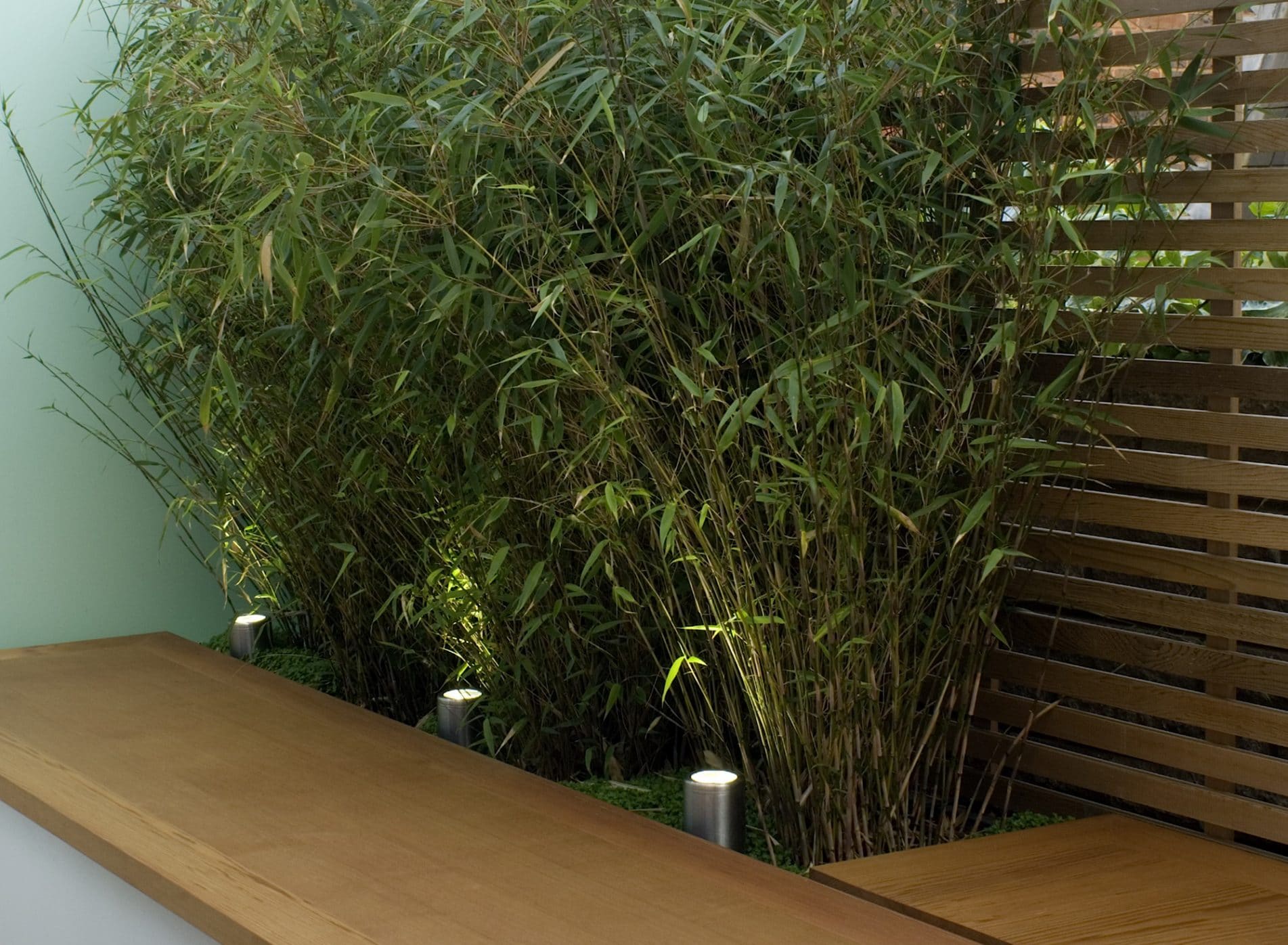Bamboo planting by the fence and seating area