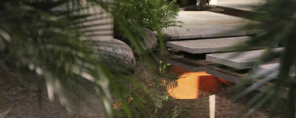 Looking through ferns to the water feature with seating beyond