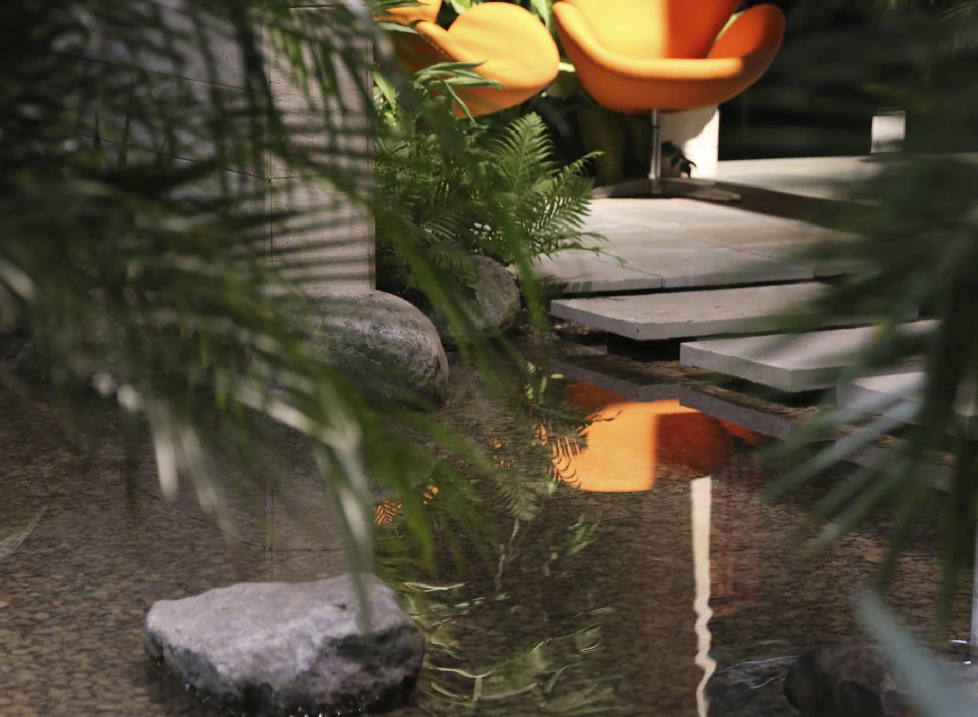 Looking through ferns to the water feature with seating beyond