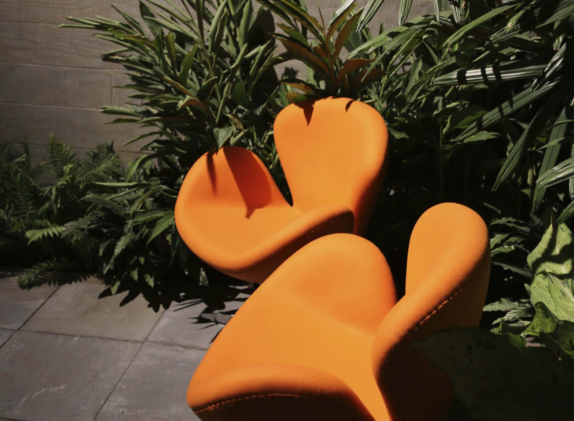 Two modern orange chairs surrounded by dark green foliage