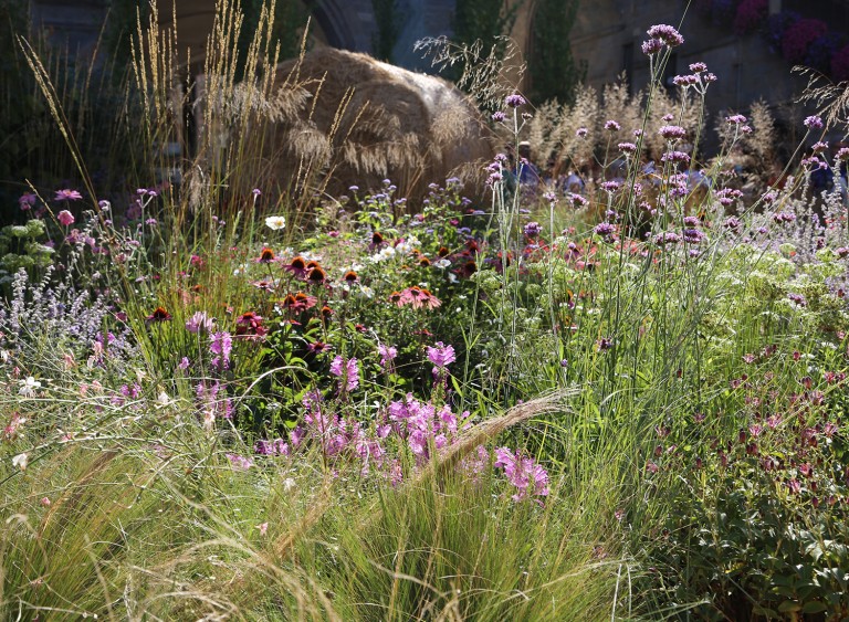 View through wildflower planting to a haybale