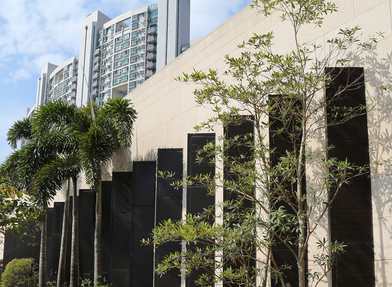 Approach Bay, Hong Kong Garden Design | Andy Sturgeon Garden Design