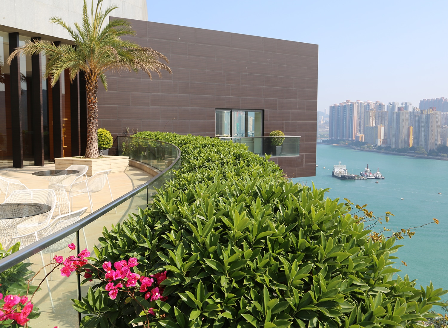 Approach Bay, Hong Kong Garden Design | Andy Sturgeon Garden Design