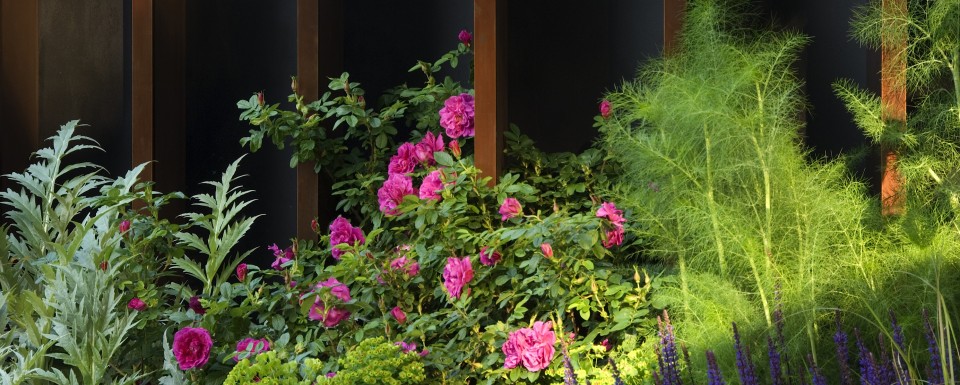 Our Mission header image - Chelsea flower show