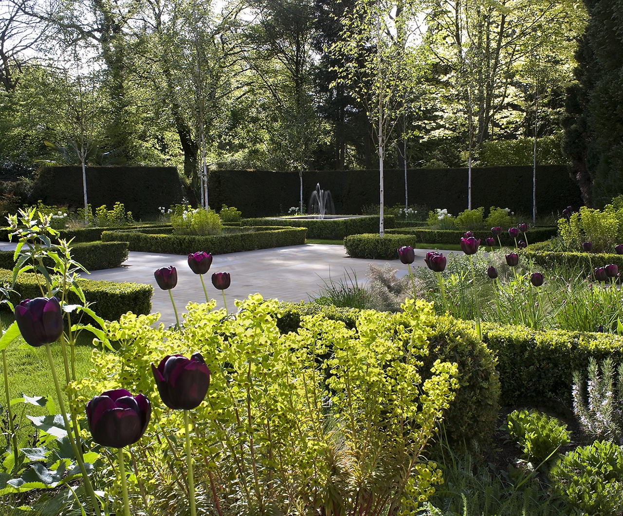 Garden Designers Buckinghamshire | Andy Sturgeon Garden Design on Parterre Garden Designs
 id=19118