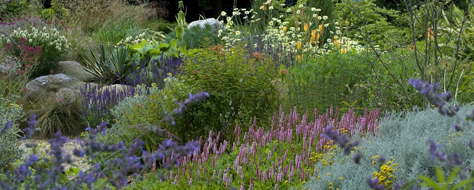 Stamens - Planting award winner at society of garden designers awards 2014