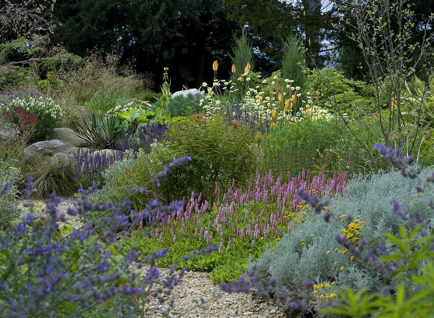 Stamens - Planting award winner at society of garden designers awards 2014