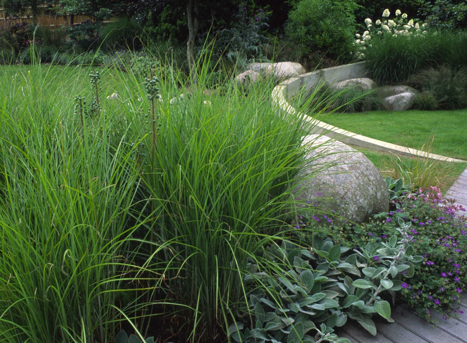 Grasses set against boulders and a curved wall in a modern family garden