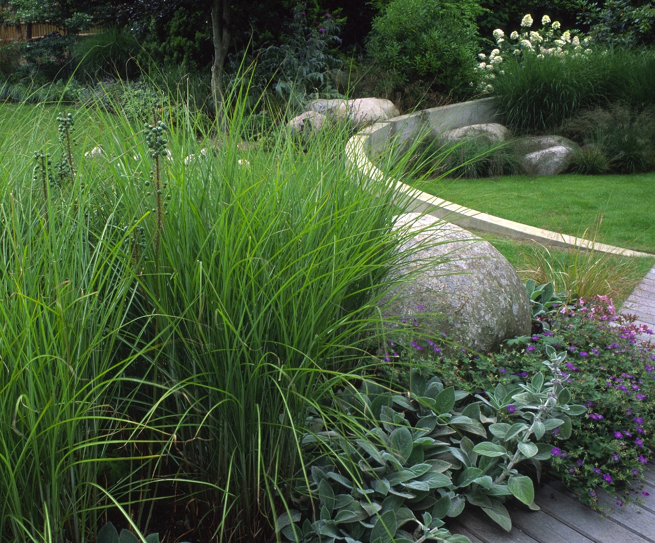 Grasses set against boulders and a curved wall in a modern family garden