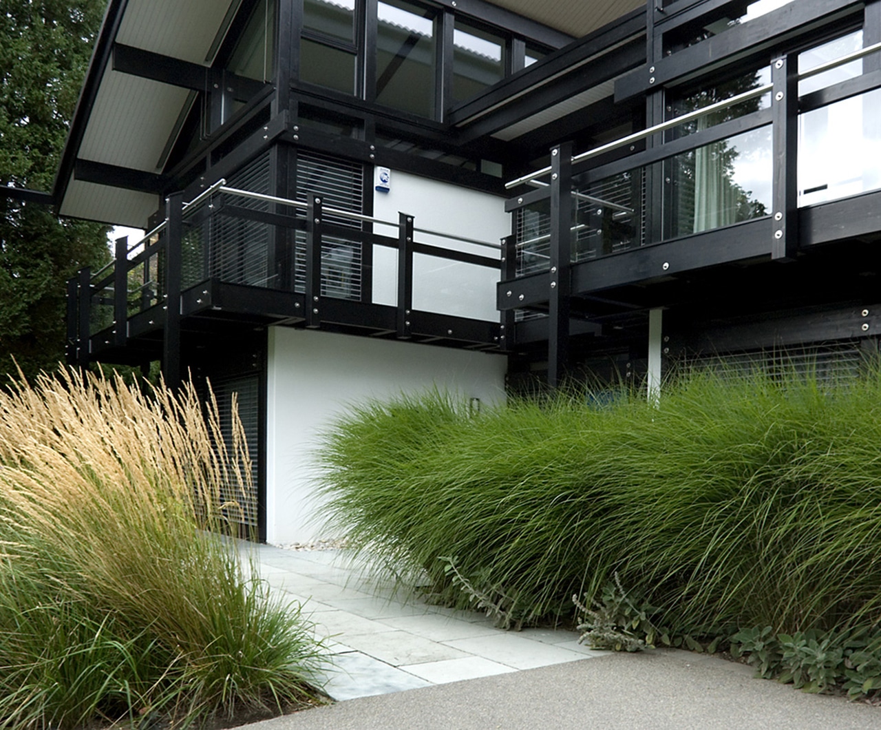 Monocrome Huf Haus With Modern Path And Green Pampas Grass
