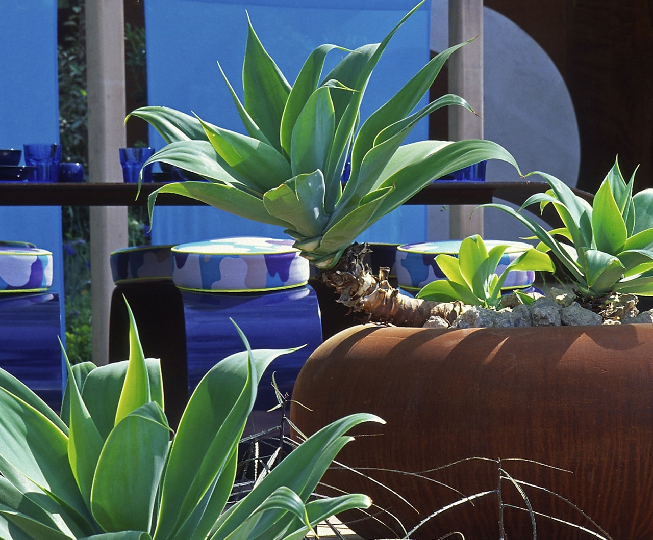 RHS Chelsea 2001 - The green foliage of planting in front of a seating area with blue seats