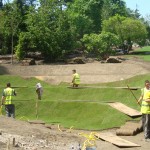 Work Taking Place On Tiered Garden With Trees In Background