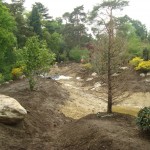 Andy Sturgeon Garden Design - Tendering 2