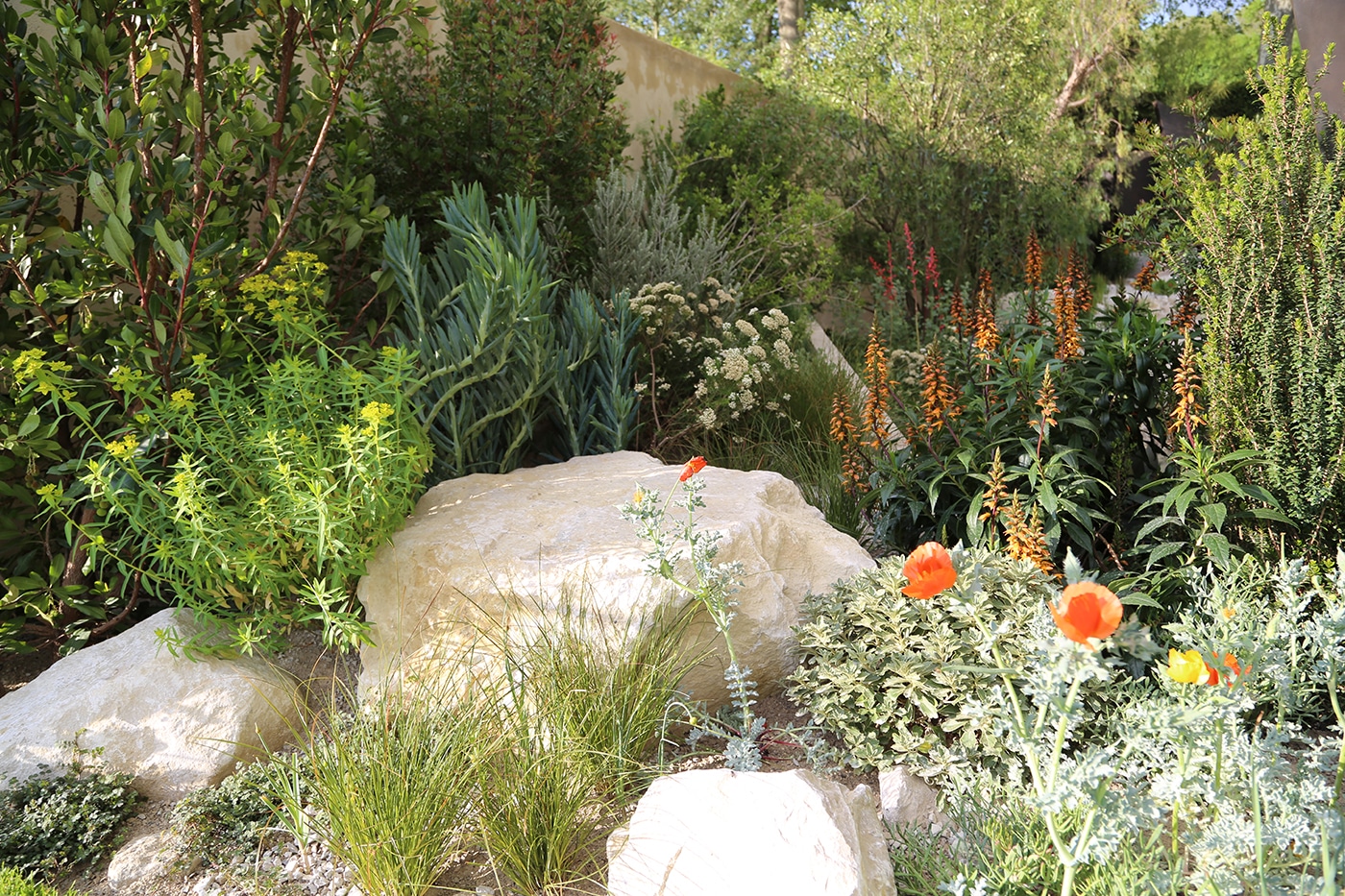 Andy Sturgeon Chelsea Flower Show 2016 _ The Telegraph Garden _ Best in Show and Gold Medal