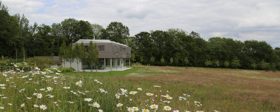 Wide Shot Of Sussex House Garden With Background Trees and Field With Wildflowers