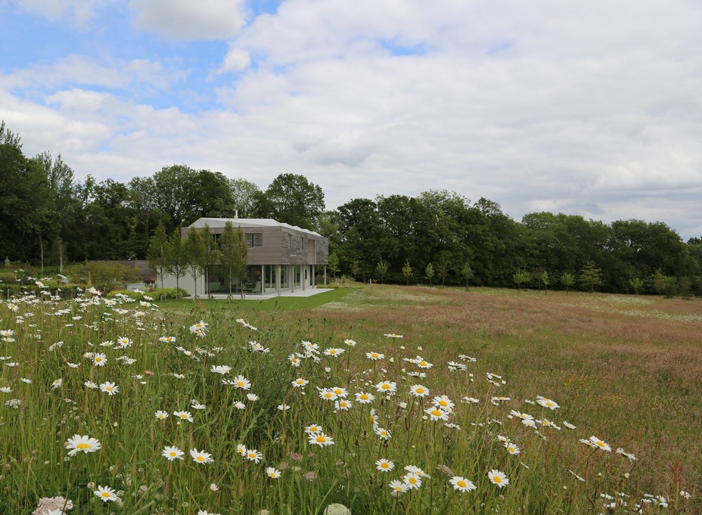 Sussex House - Andy Sturgeon Design - SGD Awards 2016