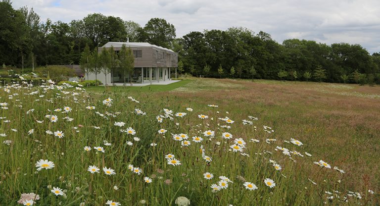 Panoramic View Of Modern Building Surrounded By Wildflower Fields And Backdrop Of Trees