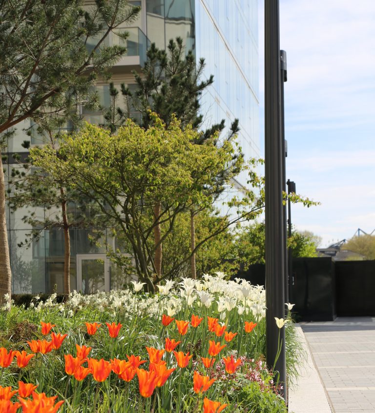 Lillie Square Andy Sturgeon Residential Development London