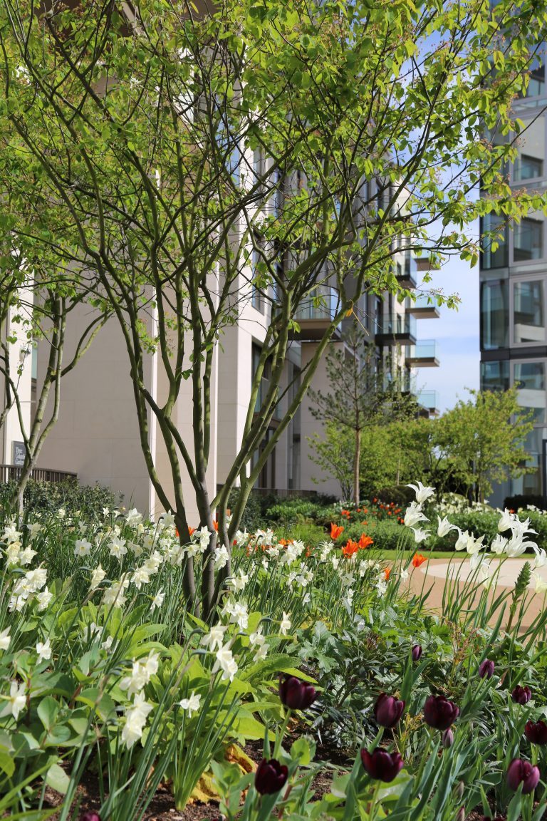 Lillie Square Residential Development In London With Colourful Flowerbed And Trees