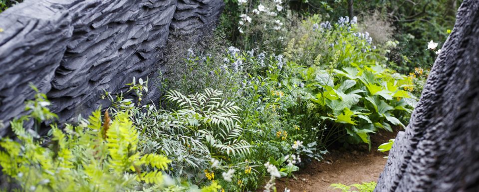 M&G Chelsea flower show garden 2019