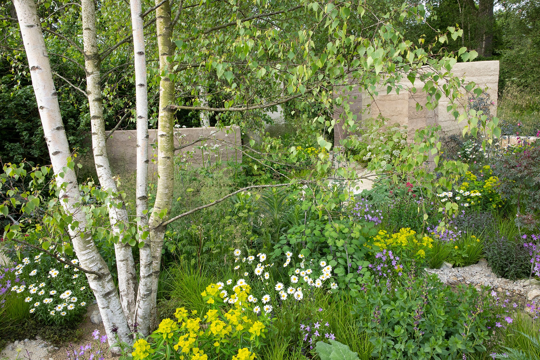 RHS Chelsea Flower Show 2022