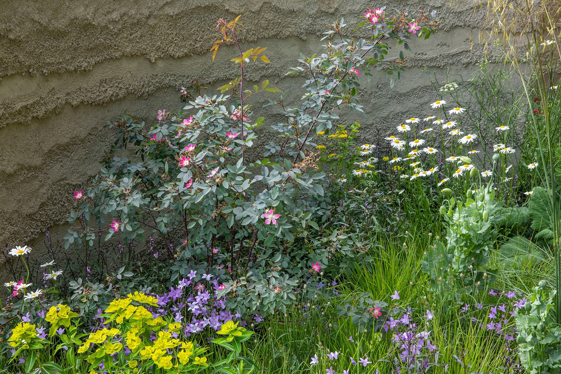 RHS Chelsea Flower Show 2022