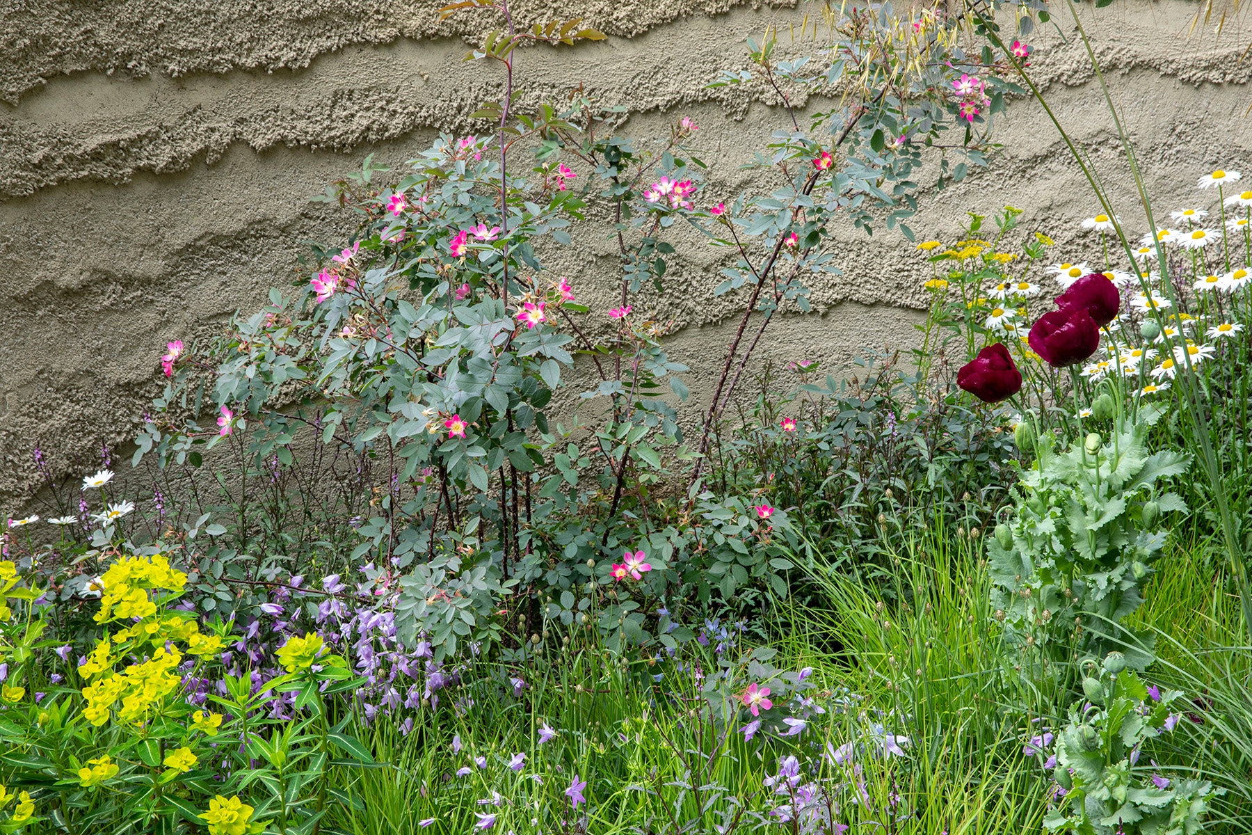 RHS Chelsea Flower Show 2022