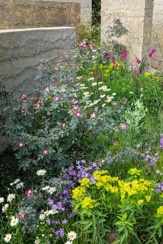 RHS Chelsea Flower Show 2022