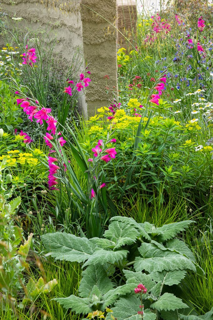 RHS Chelsea Flower Show 2022