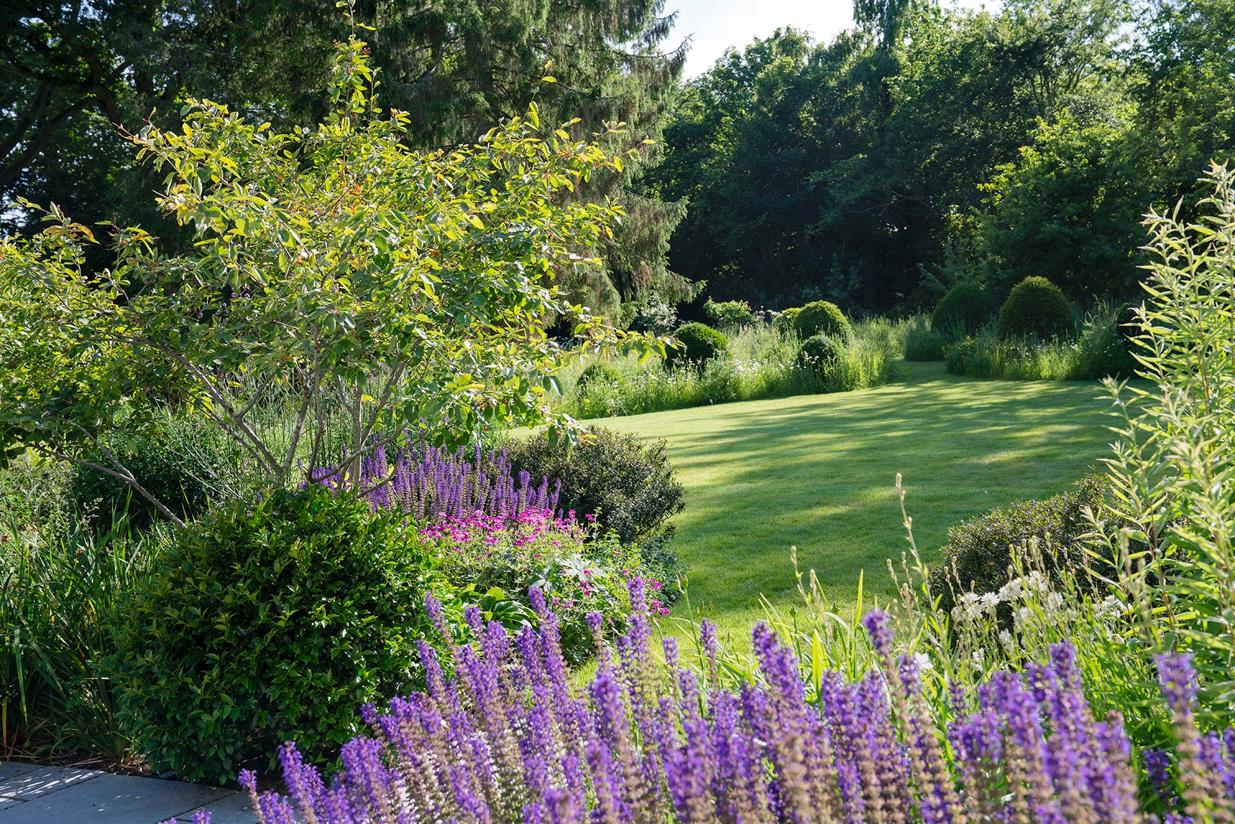 The Forbury - Garden Design in Berkshire